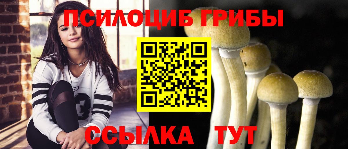 Галлюциногенные грибы Psilocybine cubensis Ишимбай