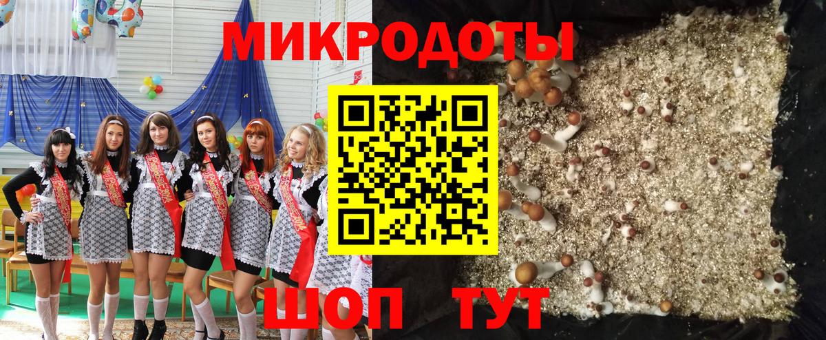 где купить наркотик  Вход с VPN  Ишимбай  Псилоцибиновые грибы Psilocybe 